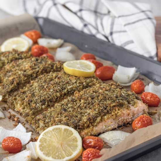 Pesto Crusted Salmon