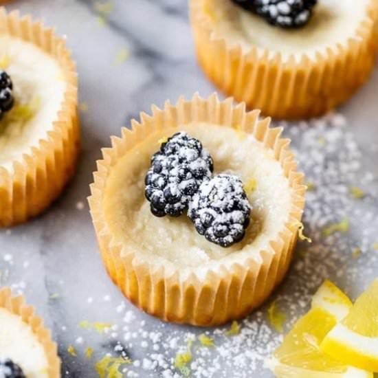 Lemon Cheesecake Yogurt Cups