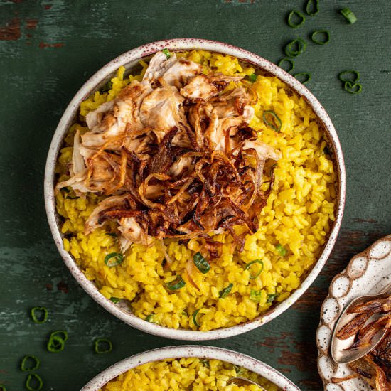 Taiwanese turkey rice
