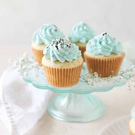 Robin Egg Speckled Cupcakes