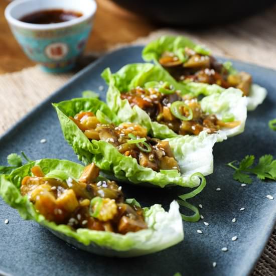 Vegan Tofu San Choy Bau