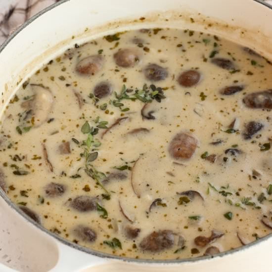 Creamy Mushroom Soup