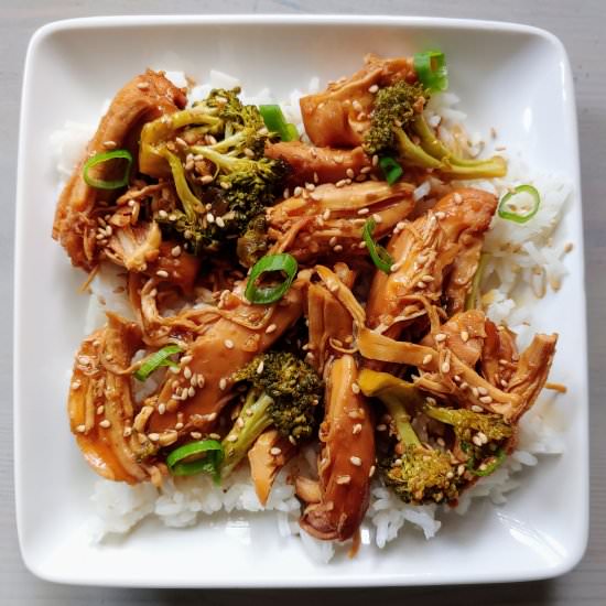 Slow Cooker Teriyaki Chicken