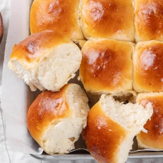 Easy Soft Dinner Rolls