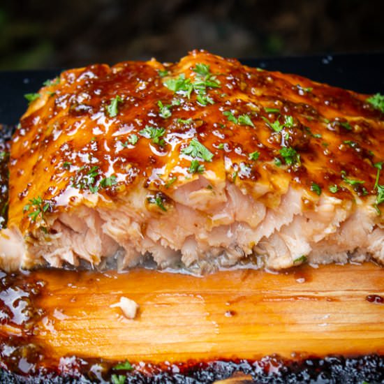 Canadian Maple Cedar Plank Salmon