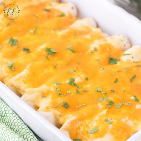 Chicken Enchiladas