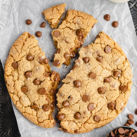 One Giant Chocolate Chip Cookie