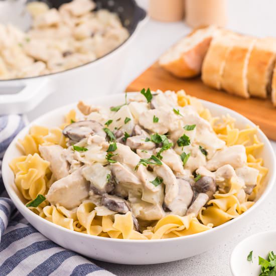 Creamy Garlic Chicken and Noodles