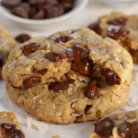 Chocolate Oatmeal Coconut Cookies