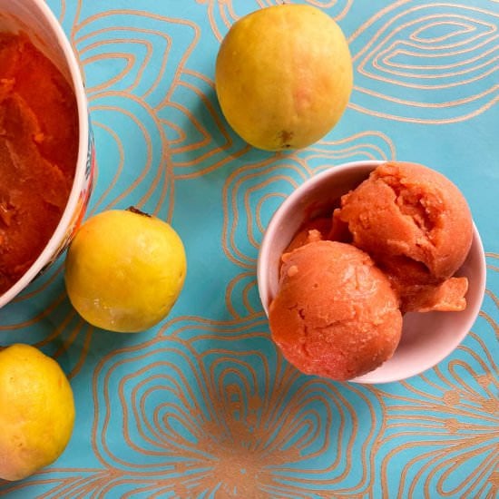 Homemade guava sorbet or sherbet