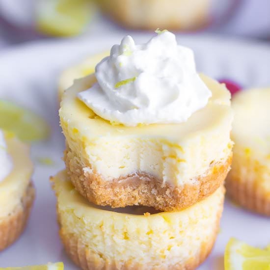 Mini Lemon Cheesecakes