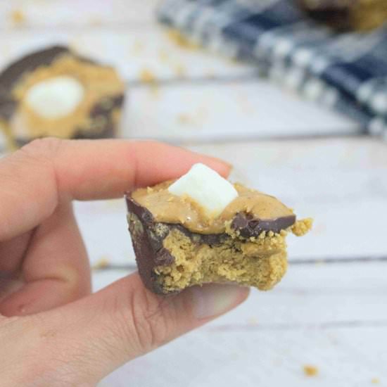 Dairy-Free S’mores Cups