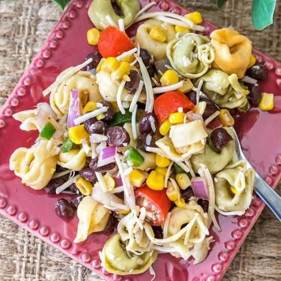 Tortellini Pasta Salad with Salsa