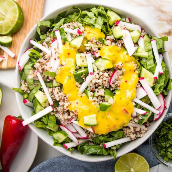 Easy Mango Salad Dressing