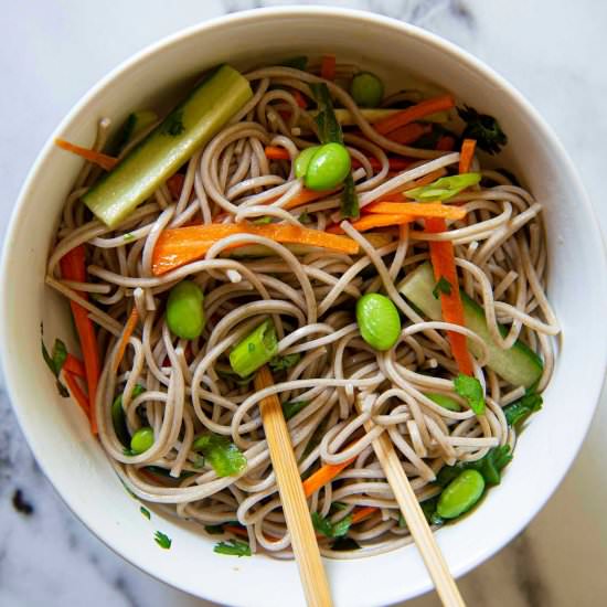 Cold Soba Noodle Recipe