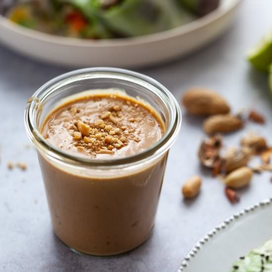 Vegan Peanut Dipping Sauce