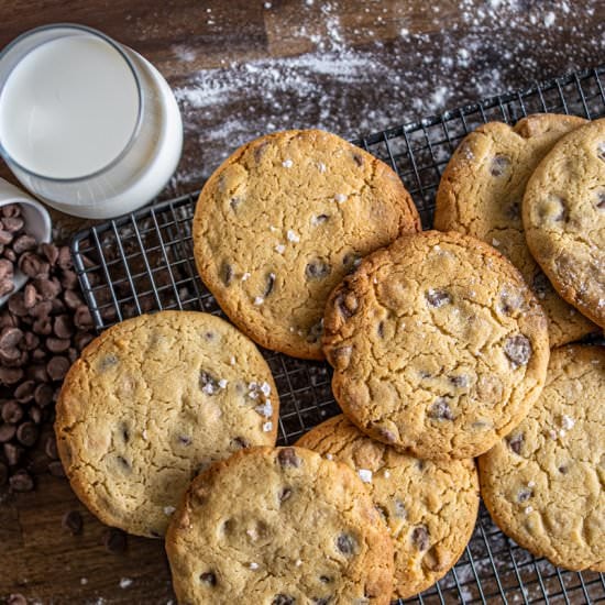 FOOL-PROOF CHOC CHIP COOKIES