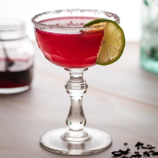 Hibiscus Margarita