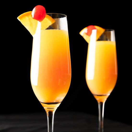 Sunrise Mimosa