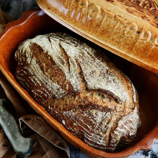 Sourdough Bread with Old Bread and