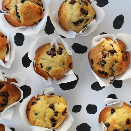 Chocolate chip muffins