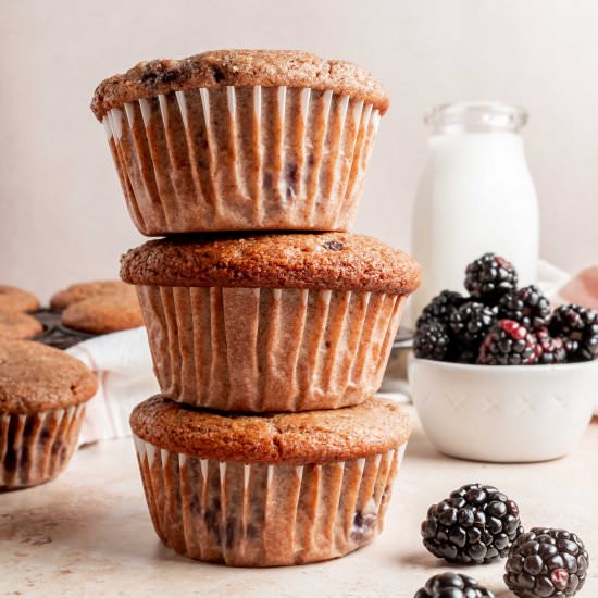 whole wheat blackberry muffins