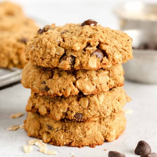 Coconut Flour Oatmeal Cookies