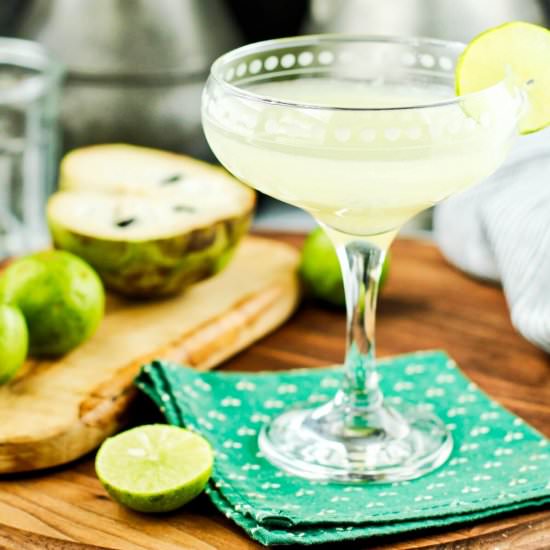 Cheryimoya Margarita