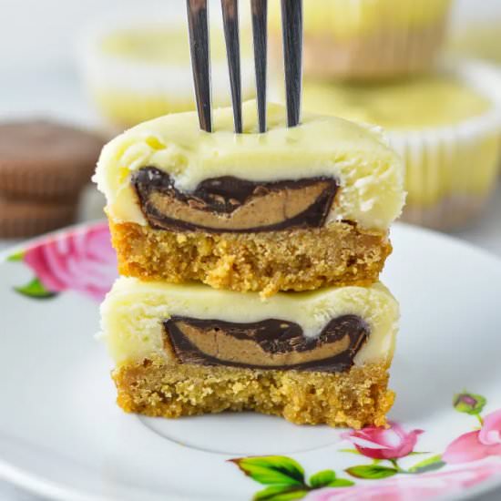 Mini Peanut Butter Cup Cheesecakes