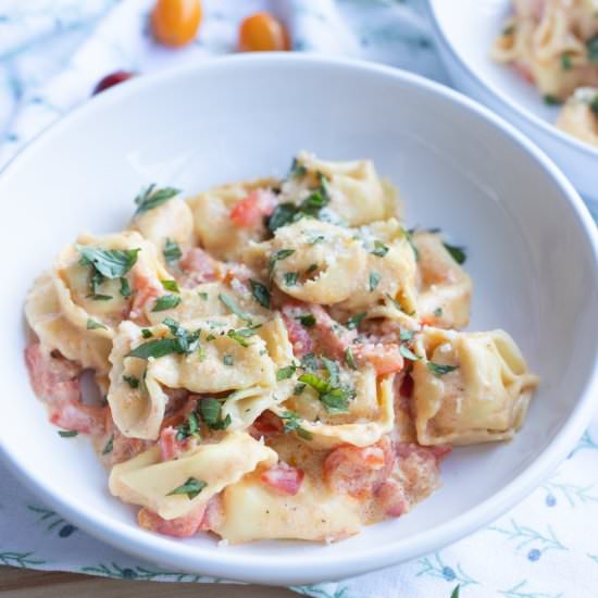 Creamy Parmesan Tortellini