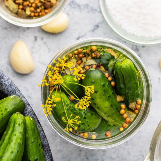 Homemade Garlic Dill Pickles