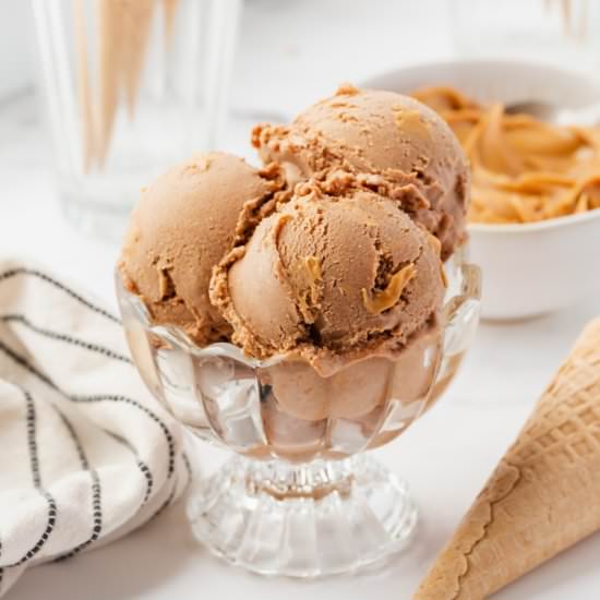 Chocolate Peanut Butter Ice Cream