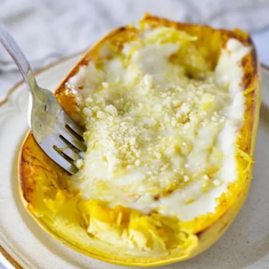Spaghetti Squash Alfredo