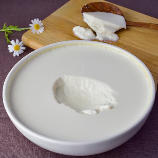 How to Make Soy Yogurt at Home