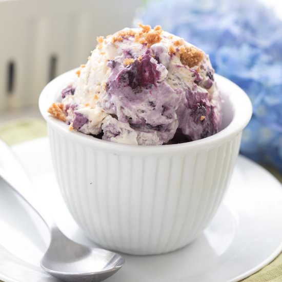 Keto Blueberry Pie Ice Cream