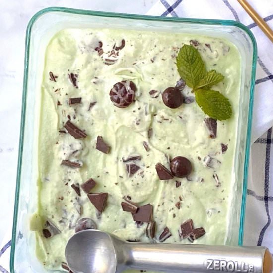 Triple Mint Ice Cream