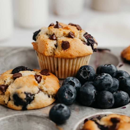 Blueberry Chocolate Chip Muffins