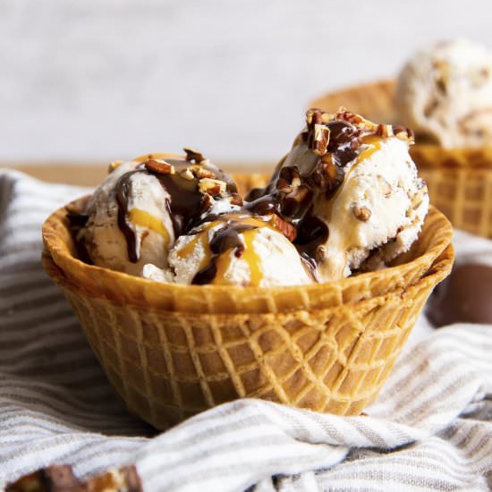 Turtle Ice Cream