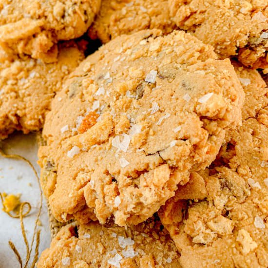 Pork Rind Chocolate Chip Cookies