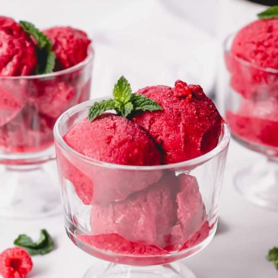 Raspberry Sorbet Recipe