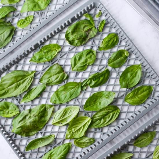 How to Dry Basil