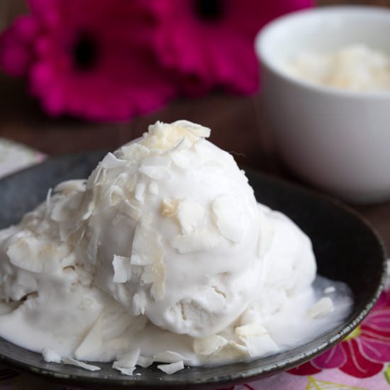 Keto Coconut Sorbet