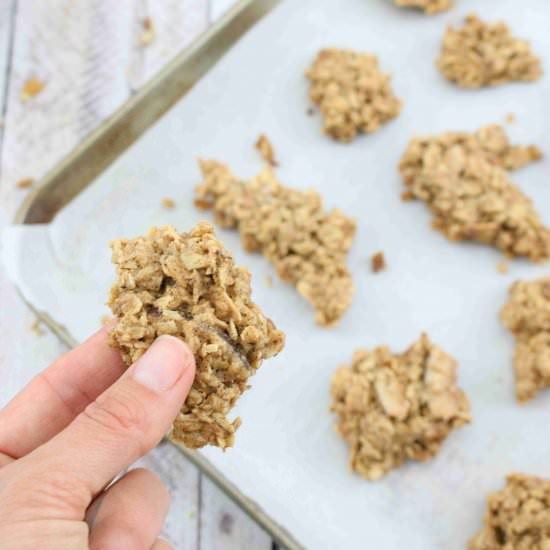 Maple Pecan Granola Clusters