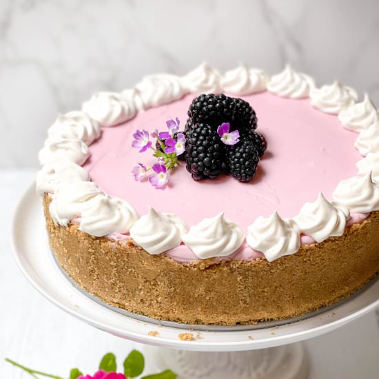 Blackberry No Bake Cheesecake