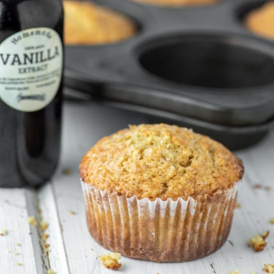 Vanilla Muffins
