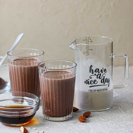 Vegan Chocolate Milk Recipe