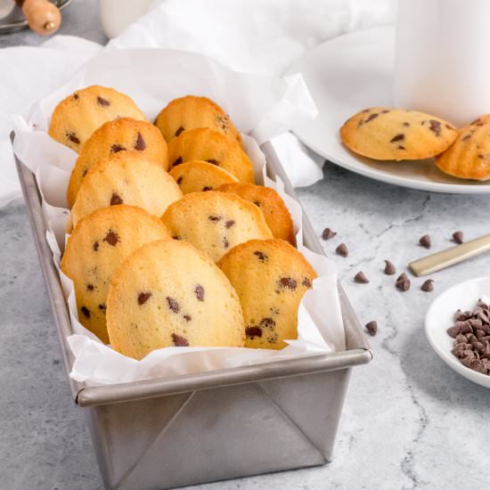 chocolate chip madeleines