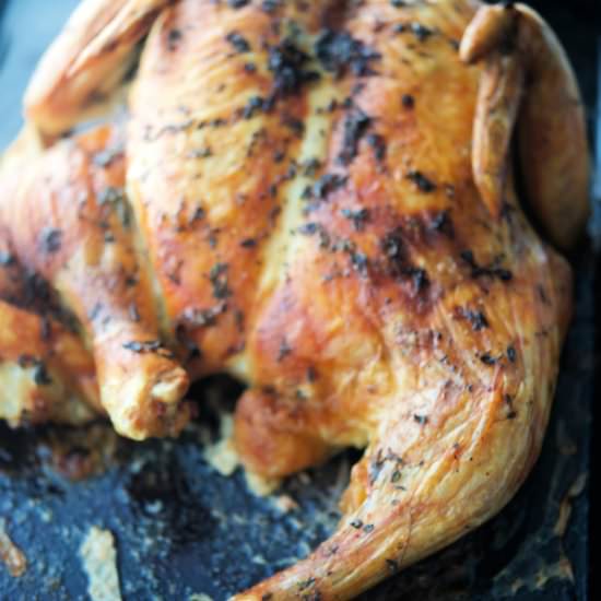 Butter Thyme Spatchcock Chicken