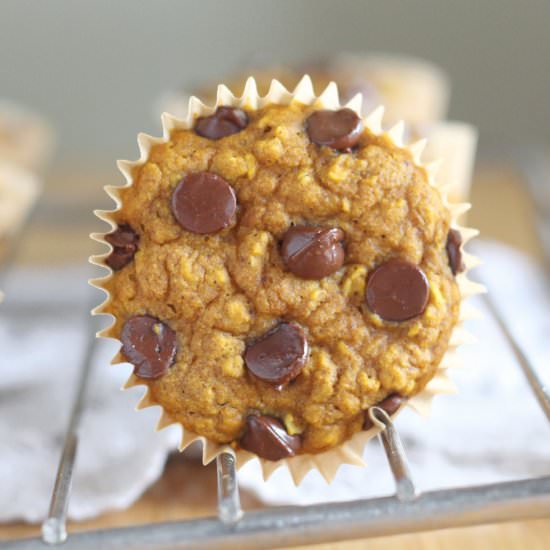 Pumpkin Muffins