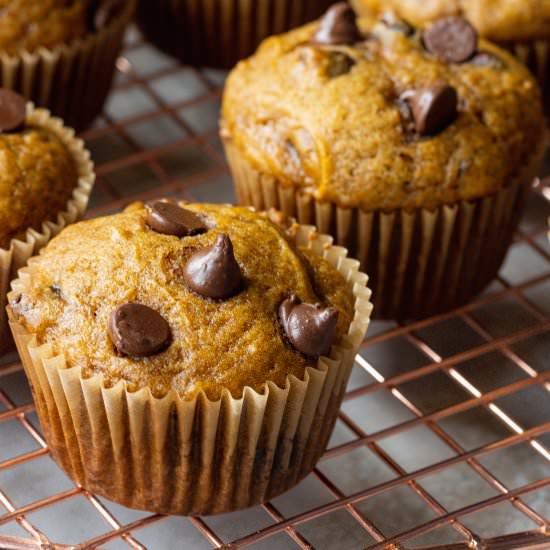 Chocolate Chip Pumpkin Muffins